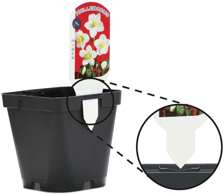 Maceta Semillero Cuadrada Teku Mqe 3l 16x16x16cm